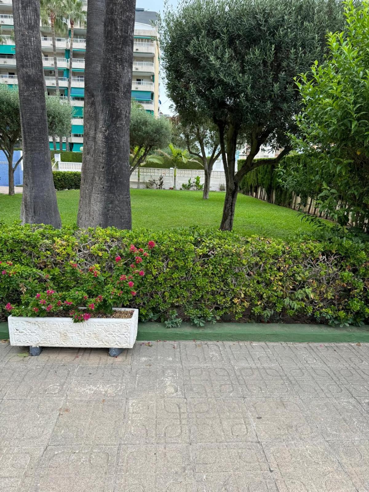 Apartamento Laramar Playa de Gandía Exterior foto